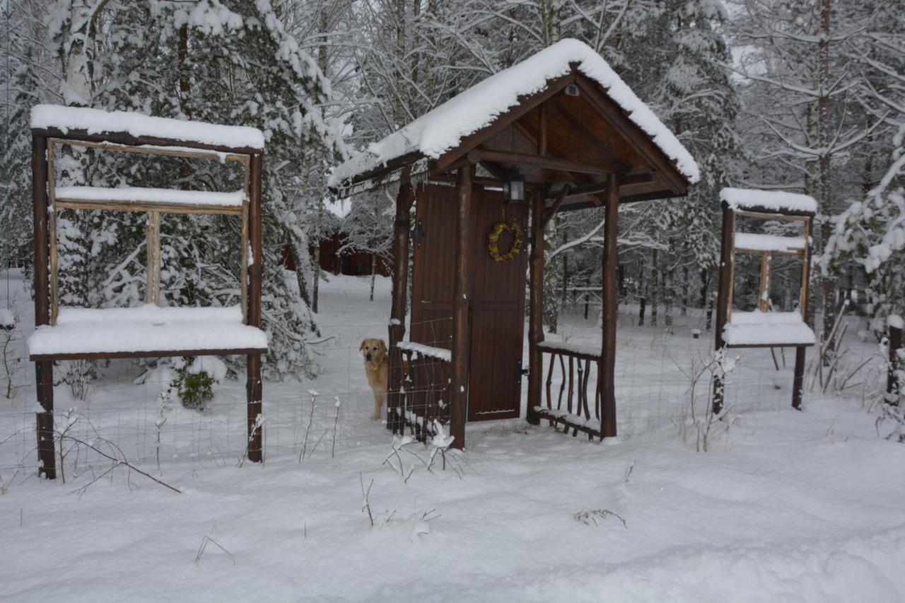 Hotel Glamping Drzwi Do Lasu Supraśl Exterior foto