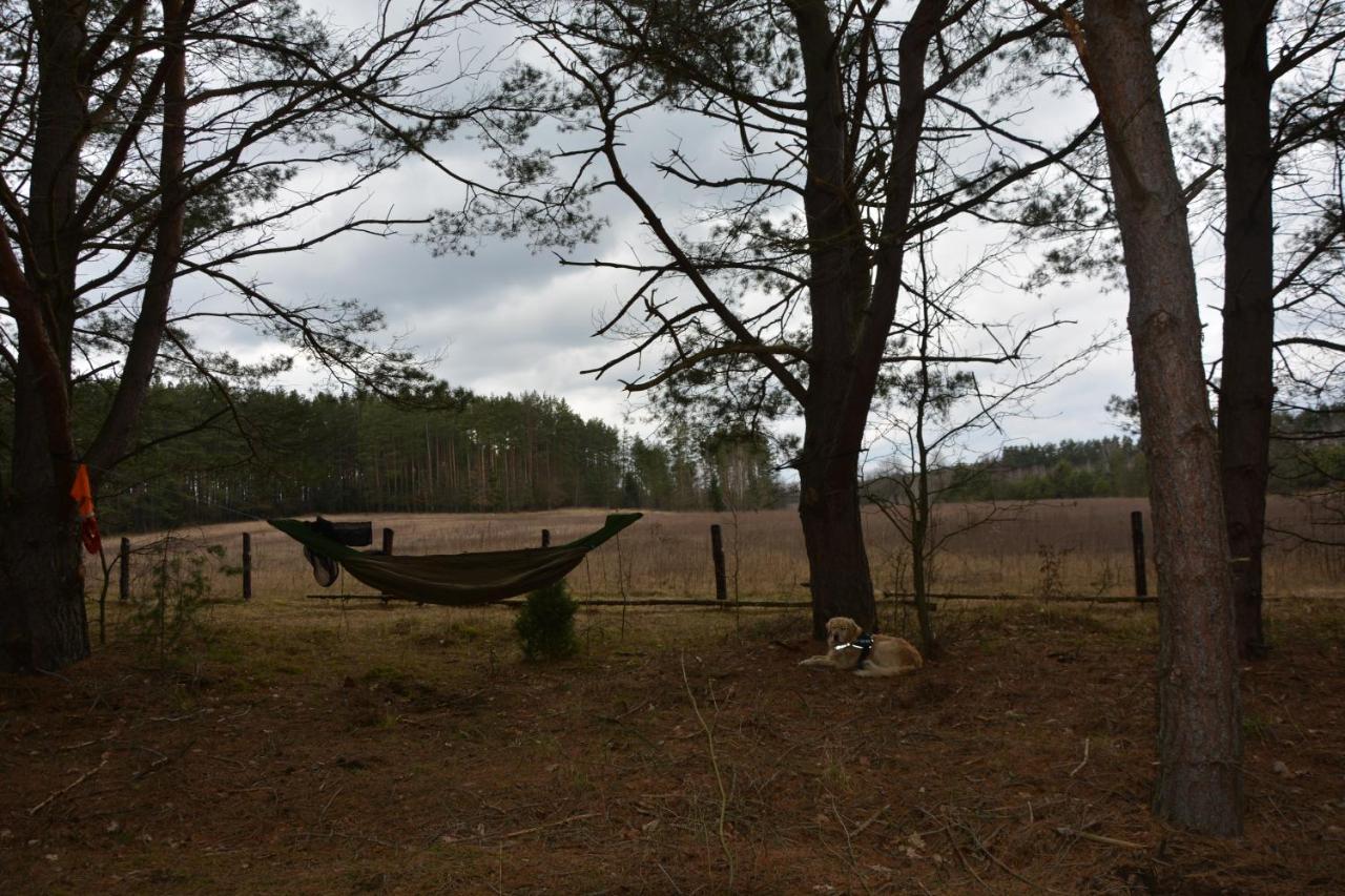 Hotel Glamping Drzwi Do Lasu Supraśl Exterior foto