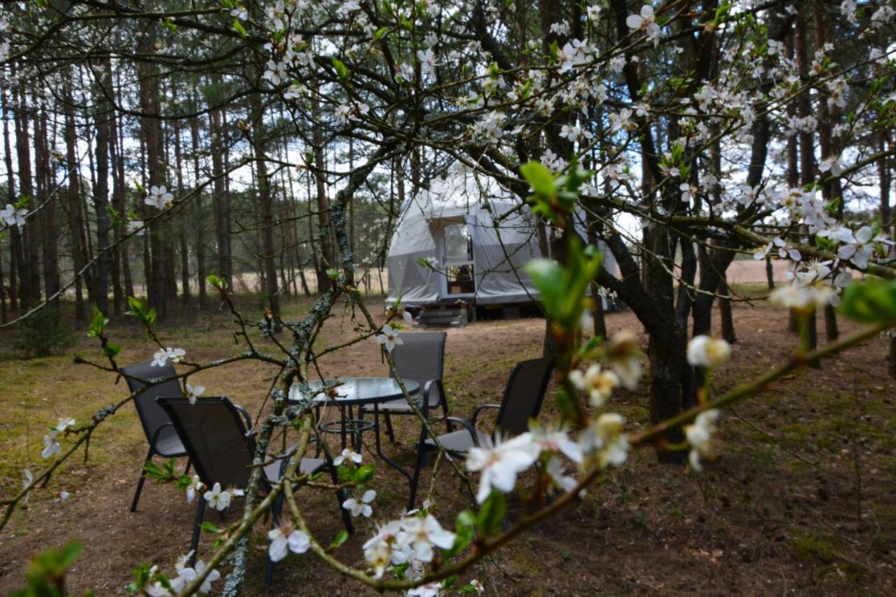 Hotel Glamping Drzwi Do Lasu Supraśl Exterior foto