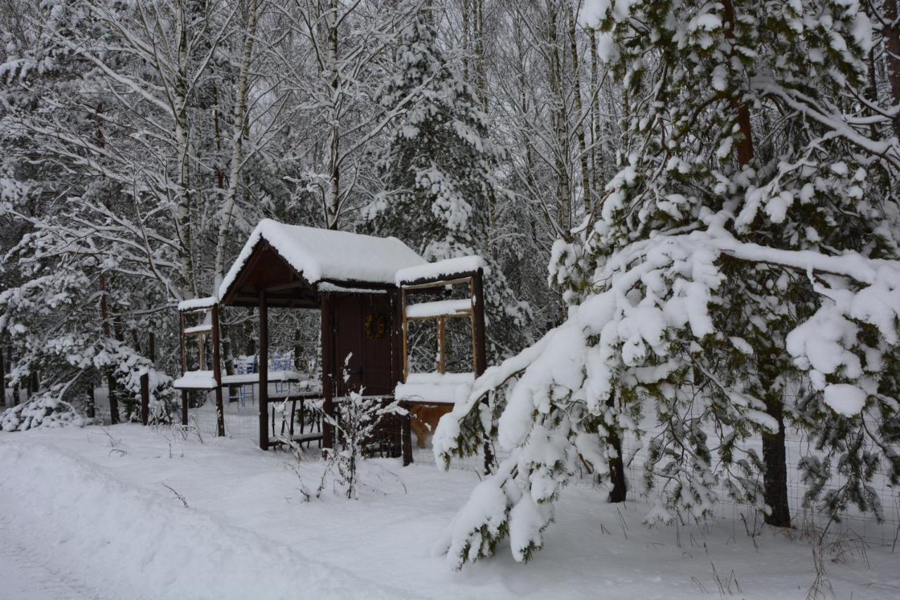 Hotel Glamping Drzwi Do Lasu Supraśl Exterior foto