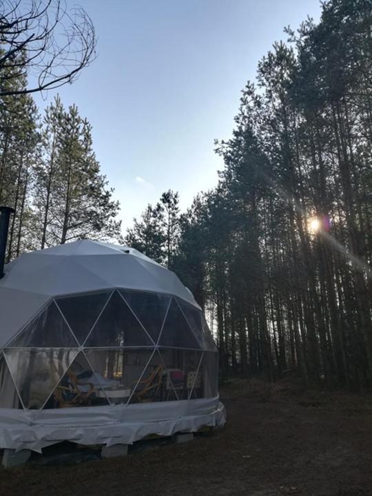 Hotel Glamping Drzwi Do Lasu Supraśl Exterior foto